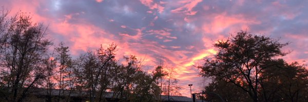 thousandfriend Profile Banner