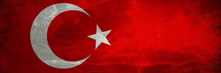 feyzaabeyoglu's profile banner image