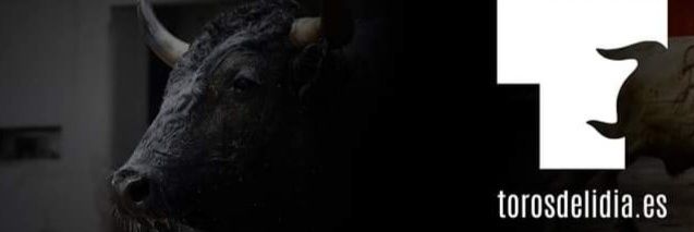 Toros de Lidia banner