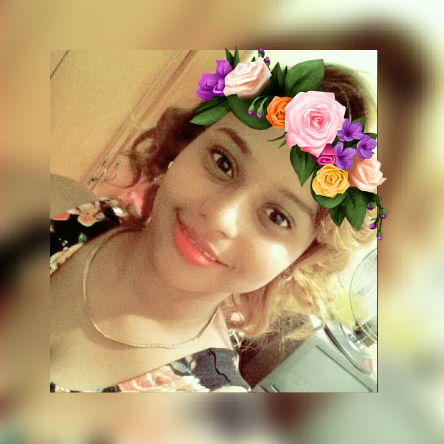Annely1301's profile banner image