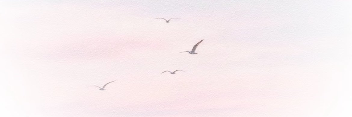kikkivzz's profile banner image