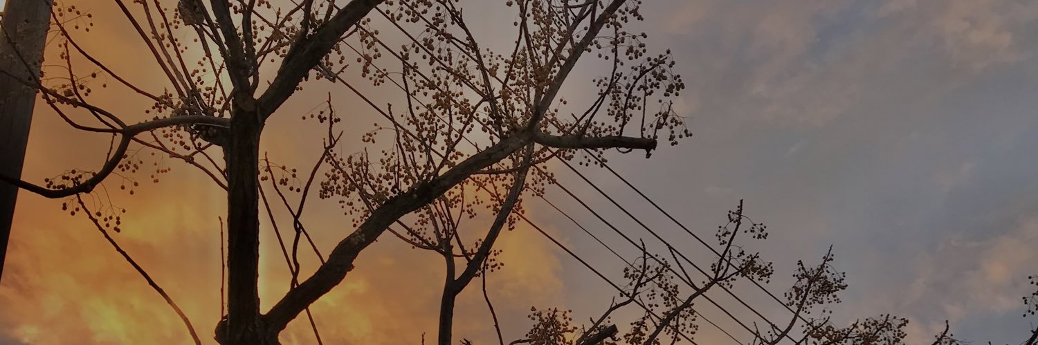 SadiyeKmrc's profile banner image