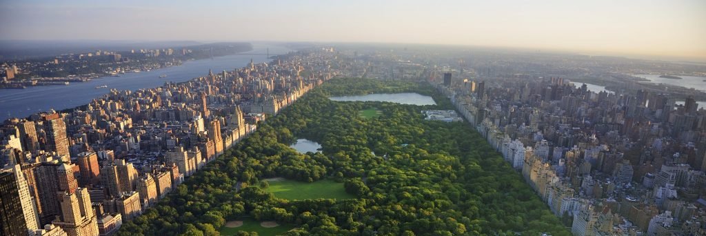 GRID-NY banner