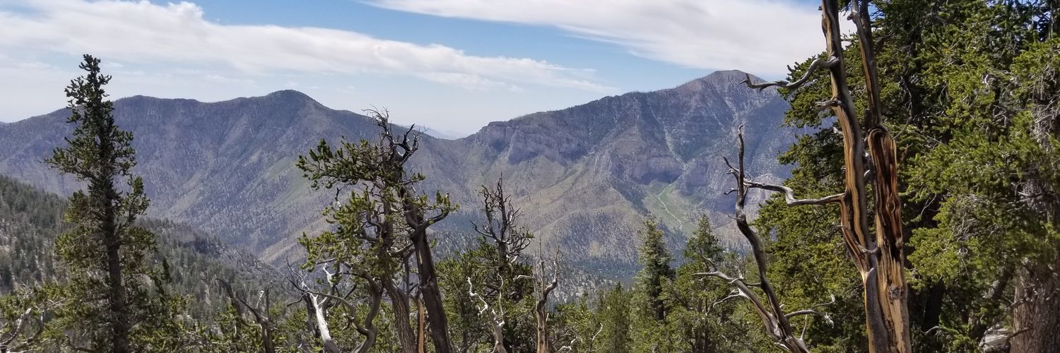 amo251's profile banner image