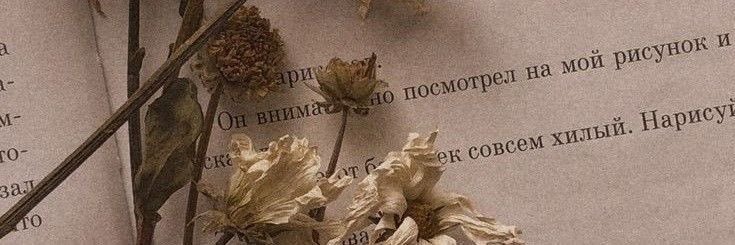 BD00R_502's profile banner image