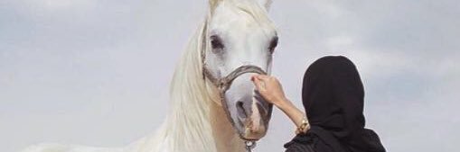soOo300's profile banner image