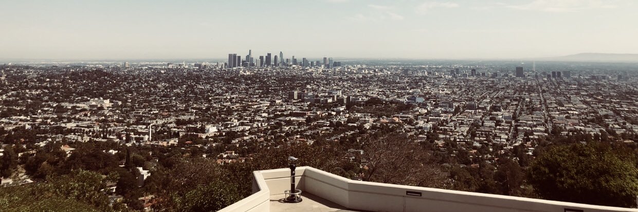 lillyluv96's profile banner image