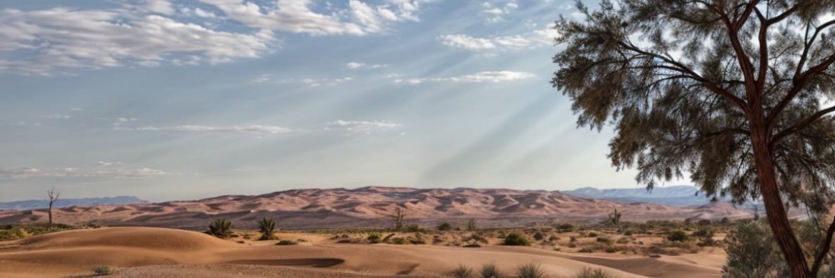 1xlM00's profile banner image