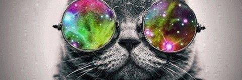 karenteixeira20's profile banner image