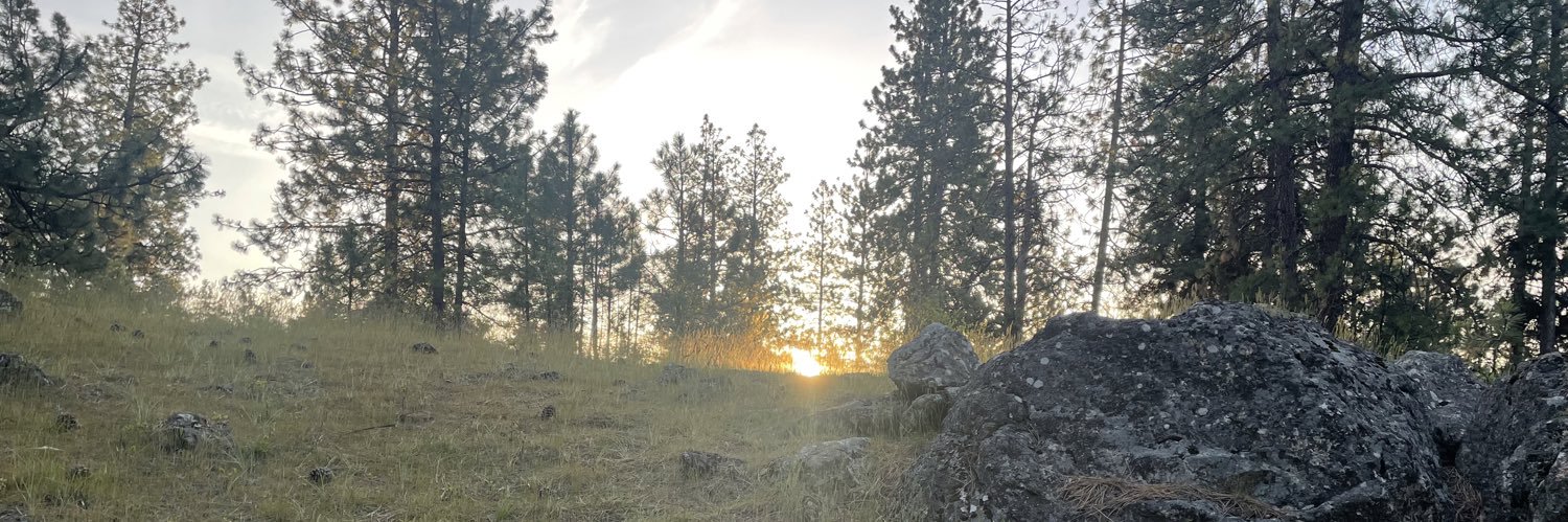 JFelker25's profile banner image