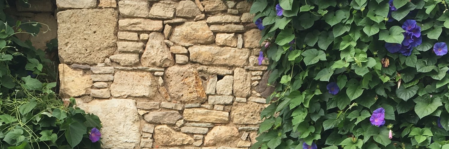 seyranusta's profile banner image