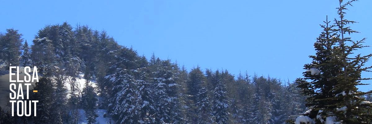 Elsa Sattout banner