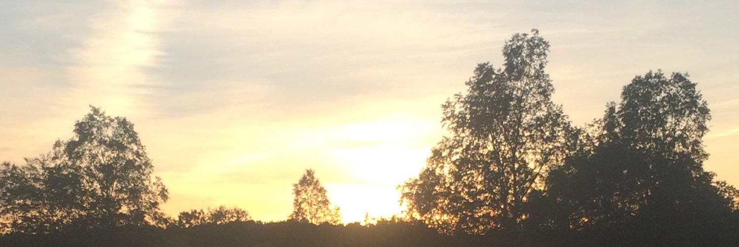 CarlieBernhardt's profile banner image