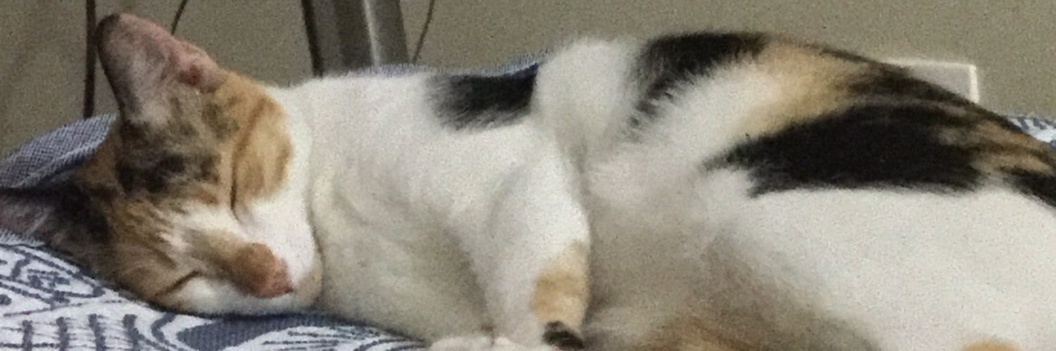 PurpleLB's profile banner image
