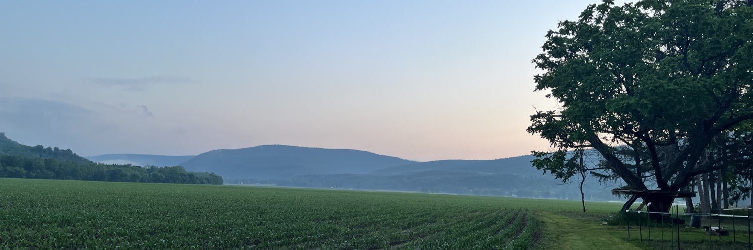 Marco Antonio banner