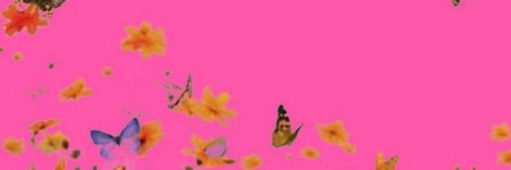 MissLena12's profile banner image