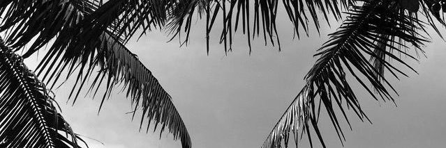 _dianadz_'s profile banner image