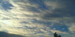 carranza_le's profile banner image