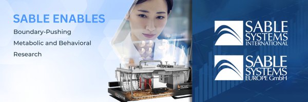 SableSysInt Profile Banner