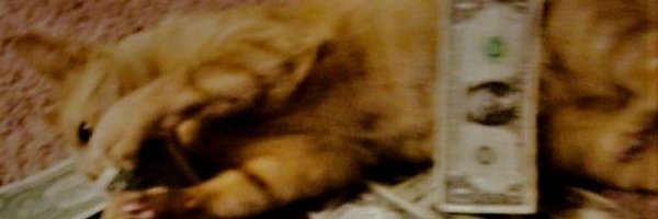deathwarpar Profile Banner