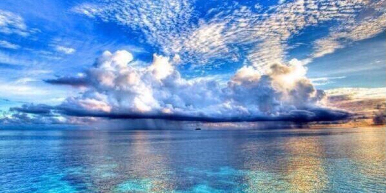 بدور ساجي banner