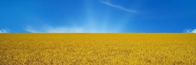 Athena Small (вона / її) 🇺🇸🏳️‍⚧️ I❤️🇺🇦 banner