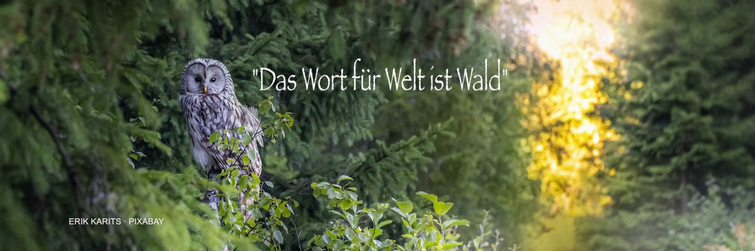 Every Day for Future banner