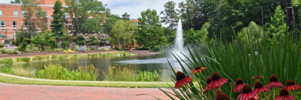 UNC Charlotte CGL banner