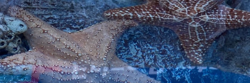 KarlaMichimany's profile banner image