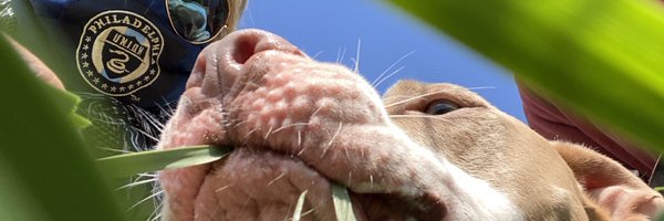 nichenurse Profile Banner