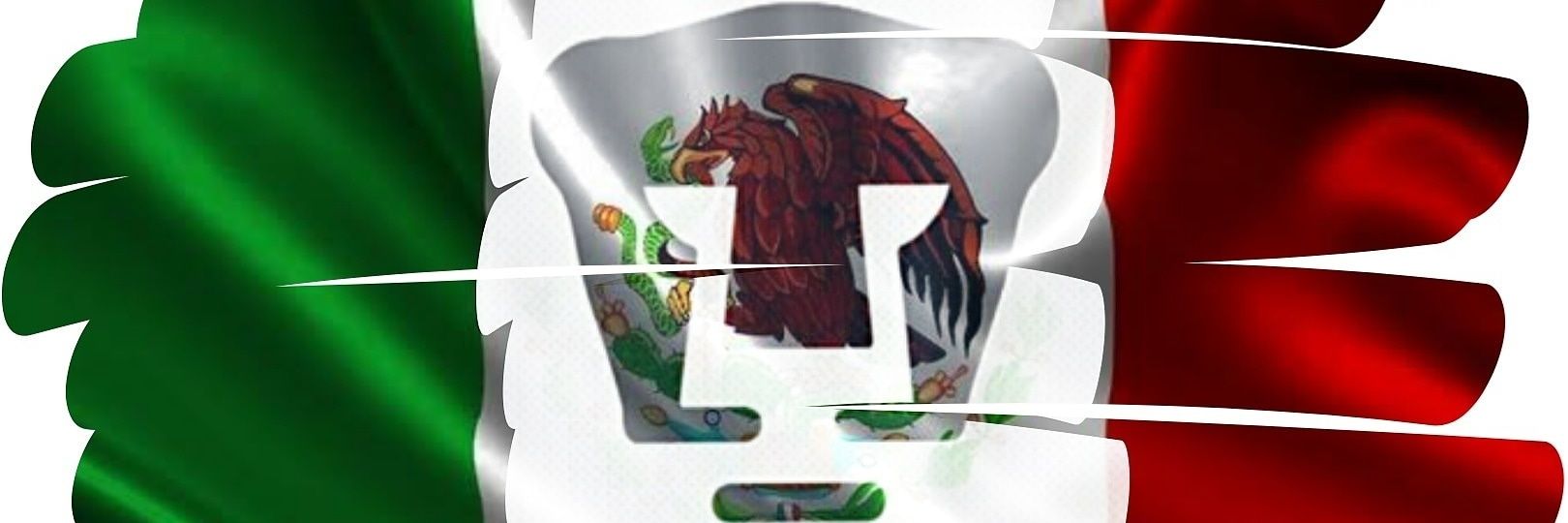 feoperohonesto's profile banner image
