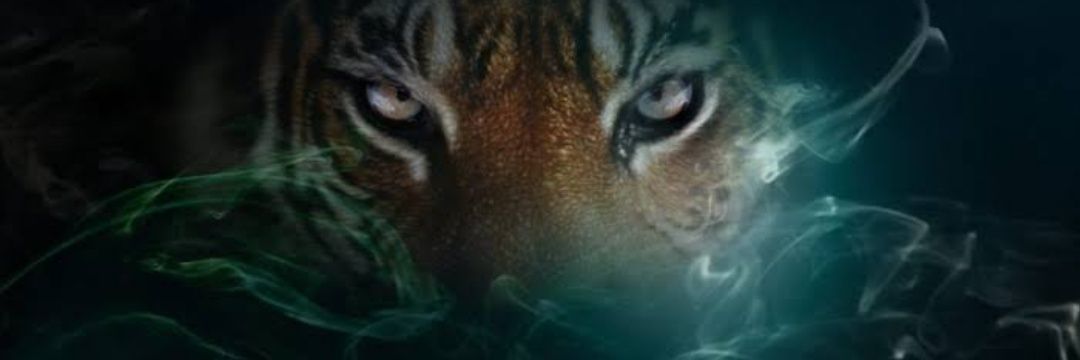 rssignori's profile banner image