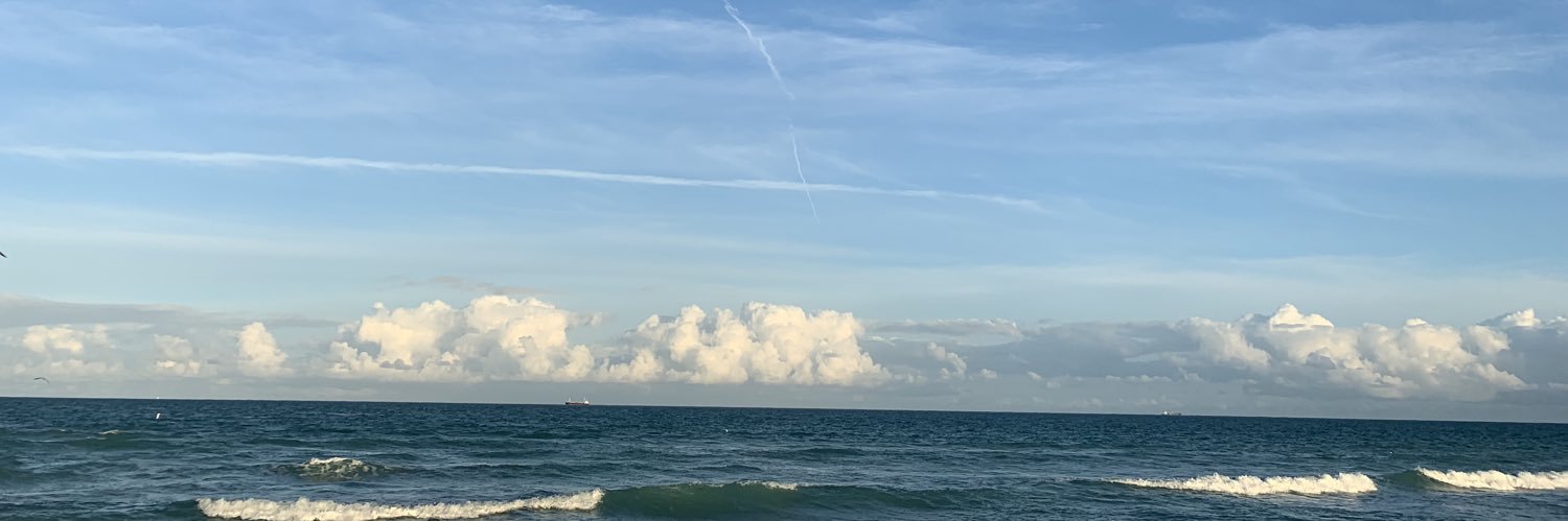 solmusee's profile banner image