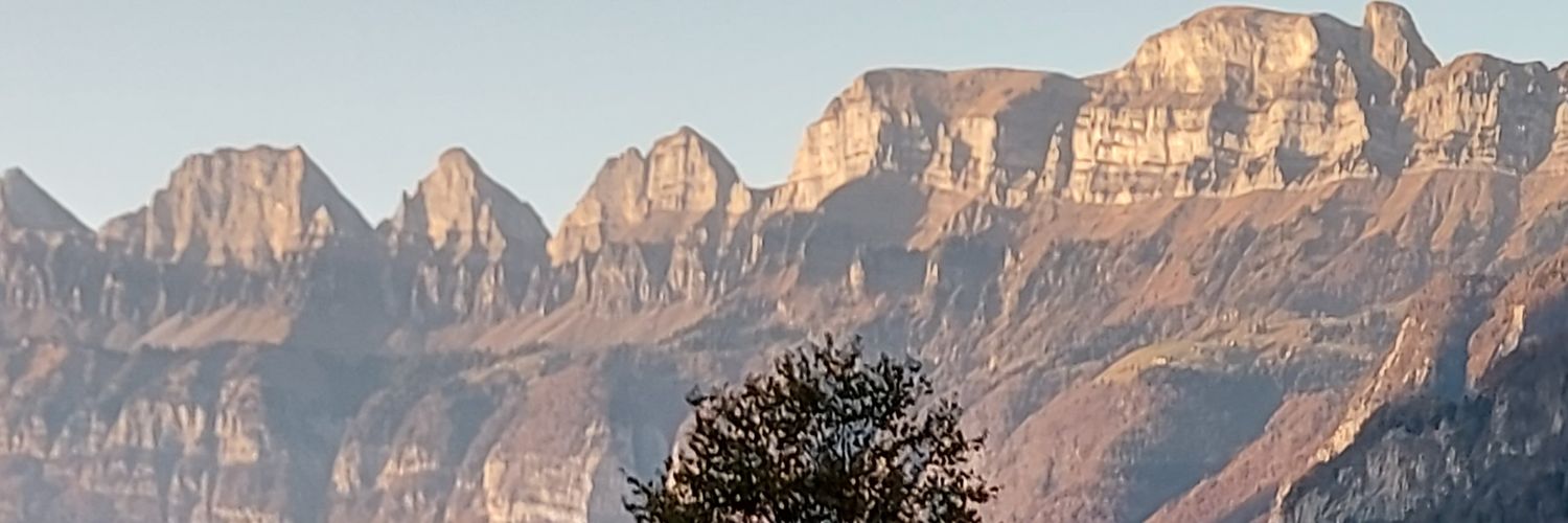 Richard Sorge banner