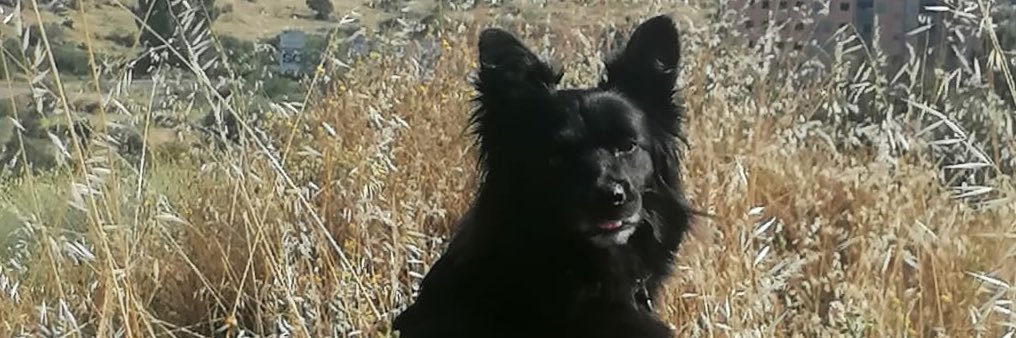 jovihomo's profile banner image