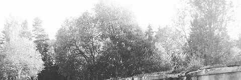 Mipolarization's profile banner image