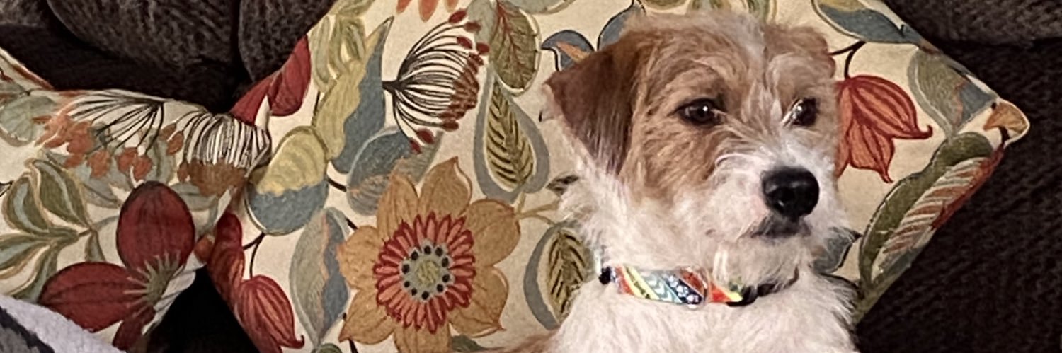 Riley R.I.P Brody 🌈🐾🐾♥️ banner