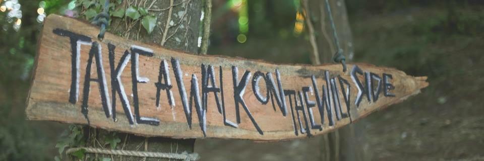 Max Lewis banner
