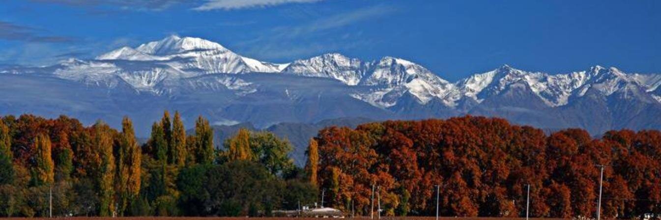 Alejandro Castro Santander banner