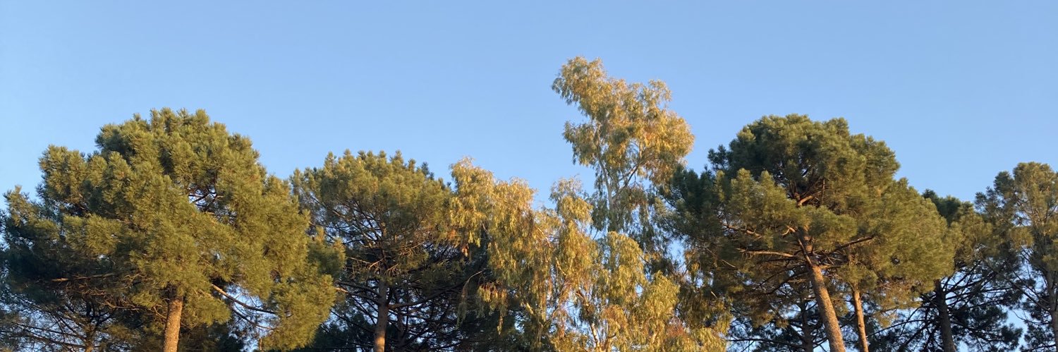 Elena banner