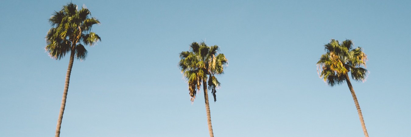CarltonDrew's profile banner image