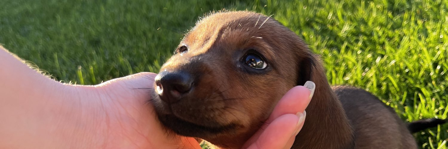 jlynrlo's profile banner image