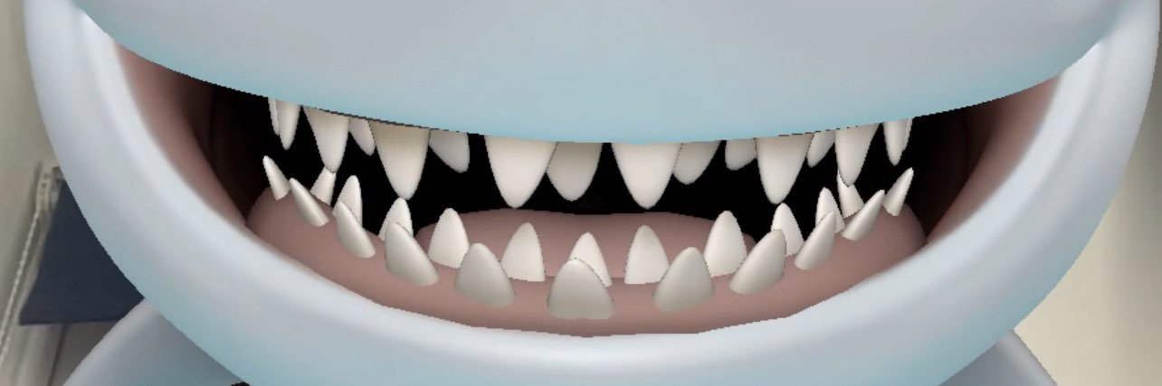 MacyKeeble's profile banner image