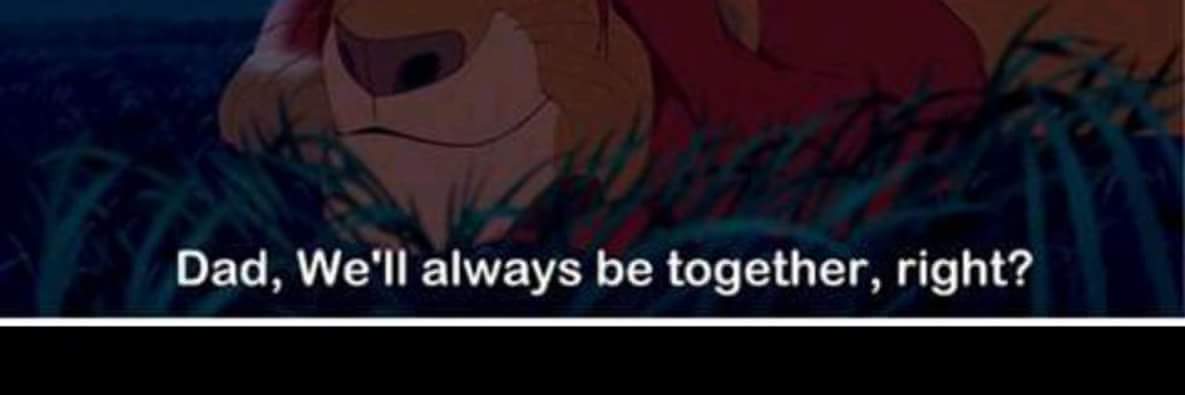sohyla__elsayed's profile banner image