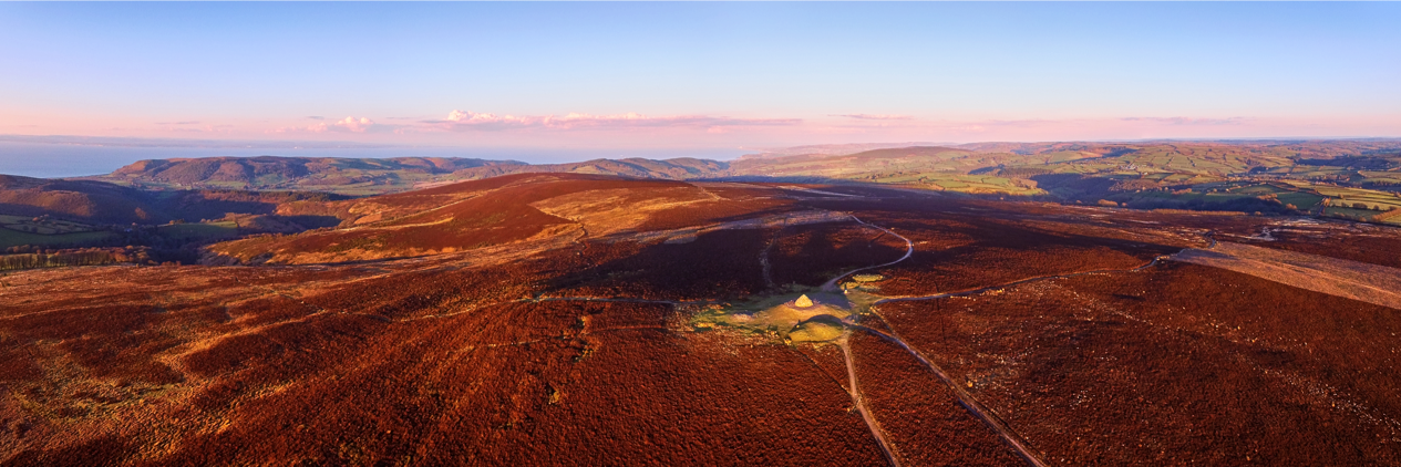 Panoptic Motion banner