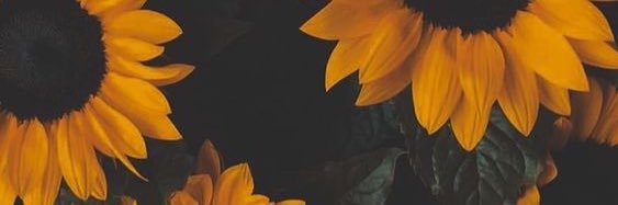 feebee 🦄 banner