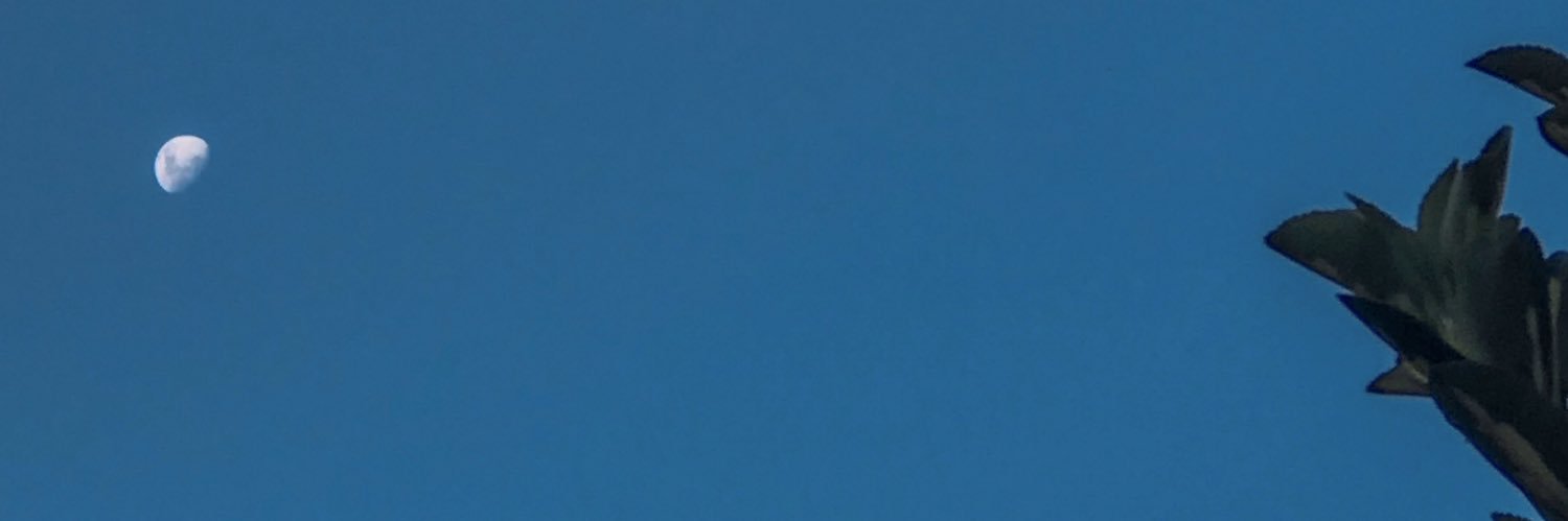 catarcolmeiro's profile banner image