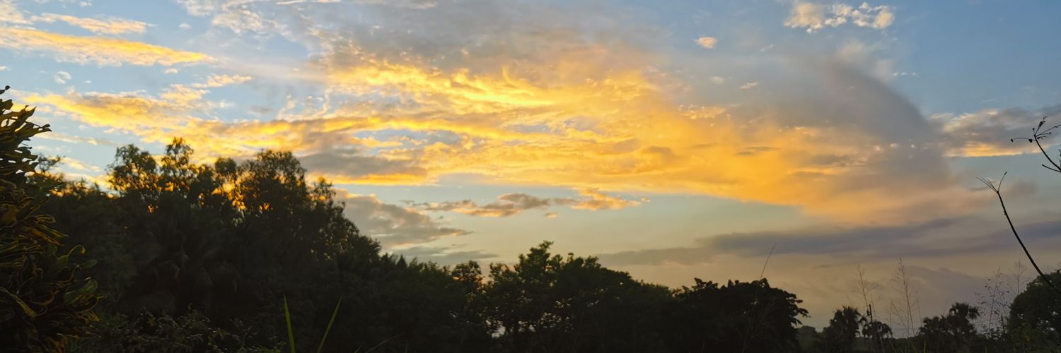 Dela8_'s profile banner image