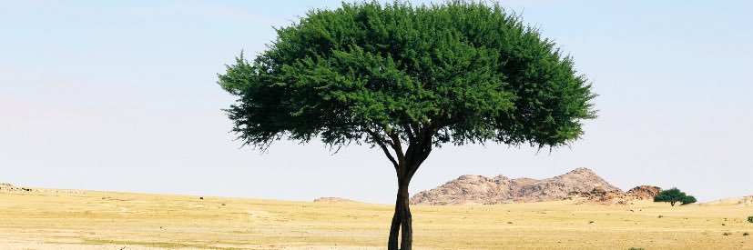 ABO_ALfhood5's profile banner image