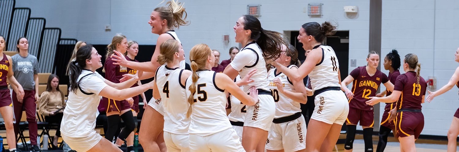 Camryn Pickerill banner